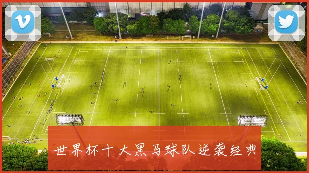 世界杯十大黑马球队逆袭经典