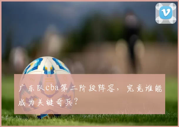 广东队cba第二阶段阵容，究竟谁能成为关键奇兵？