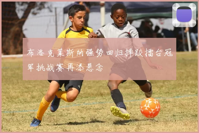 布洛克莱斯纳强势回归摔跤擂台冠军挑战赛再添悬念