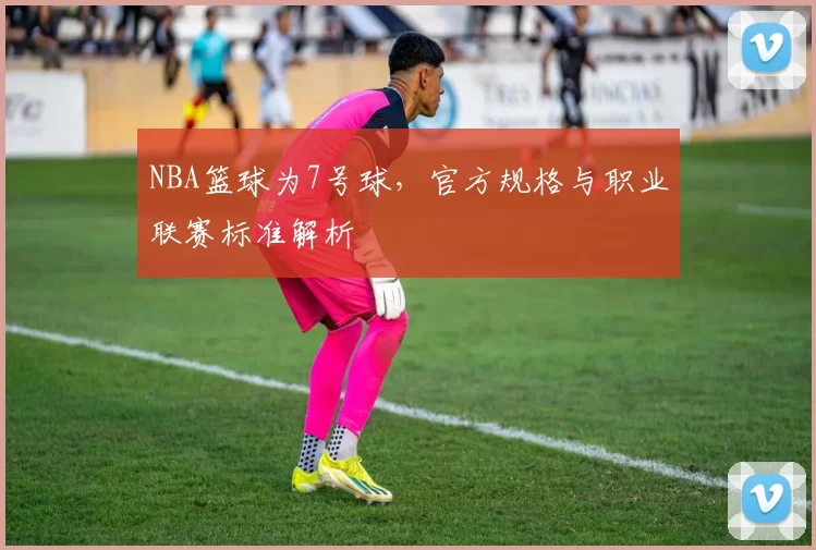 NBA篮球为7号球，官方规格与职业联赛标准解析